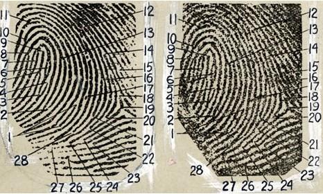 英연구팀 “지문과 땀으로 사람 성향 알수있다”