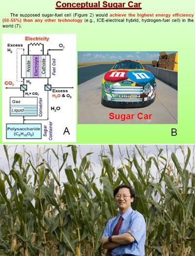 美대학 “설탕으로 움직이는 車기술 개발”