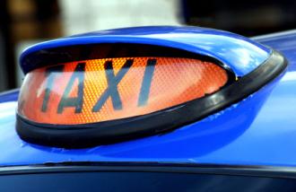 “택시기사들 뇌에 ‘내비게이션’ 영역 있다”