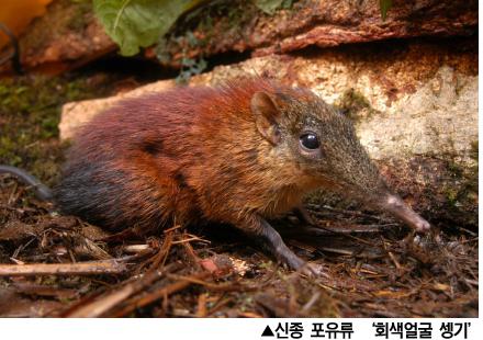 와이어드 선정 2008 ‘신종 생물체’ 베스트10