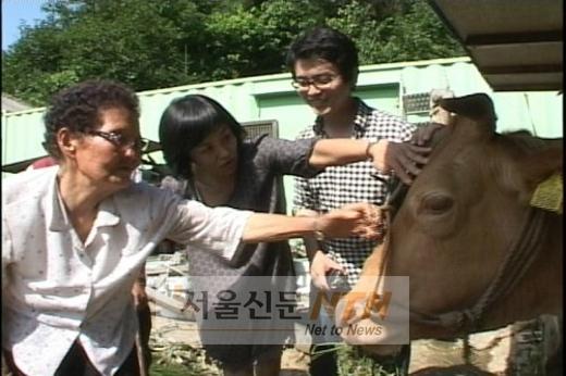 ‘워낭소리’ 할아버지의 뒷이야기, TV로 만난다