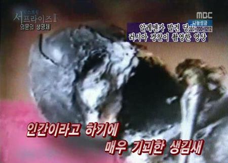“외계 생명체 있을까?”… ‘알레센카’ 관심 증폭