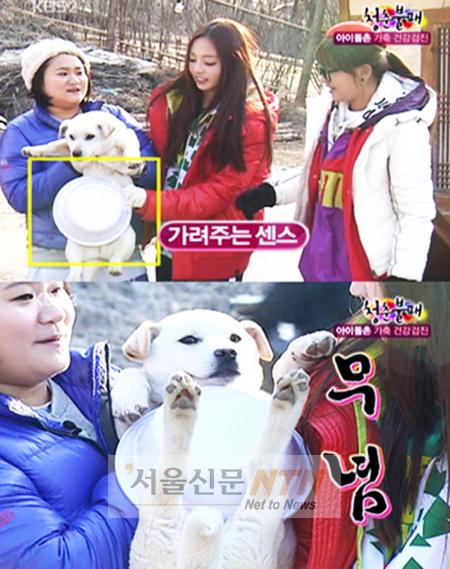 ‘청춘불패’ 구하라, 재치만점 센스쟁이~