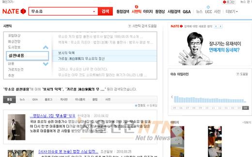 네이트 시맨틱, 적용부문 확대