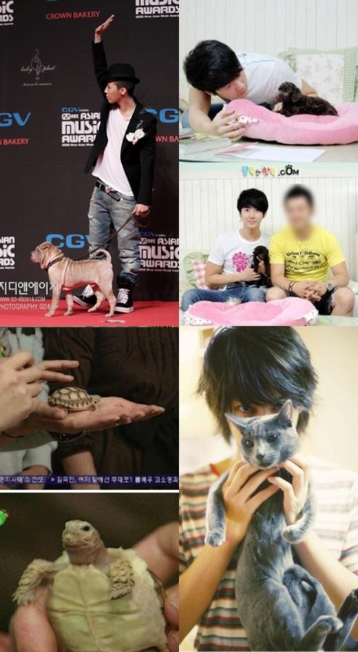 아이돌이 키우는 애완동물 “나도 스타”