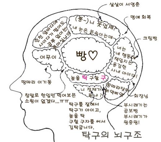 ‘제빵탁구’ 뇌구조 화제...네티즌 ‘재치만점’