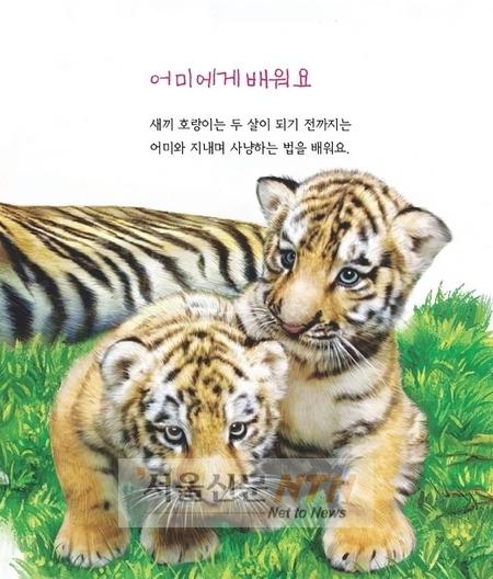 GS샵, ‘개굴개굴 세밀화 자연관찰’ 82권 판매