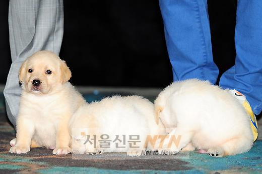 [NTN포토] 마음이 3남매, ‘우리도 영화 출연했어요’