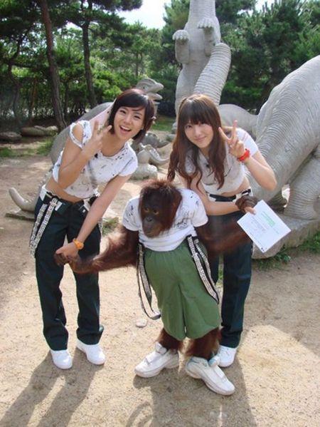 카라 한승연·강지영, 오랑우탄과 공동MC