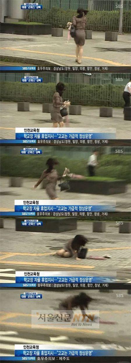 곤파스에 쓰러진 ‘태풍녀’…네티즌 “쓰러지길 기다려 찍었나?”