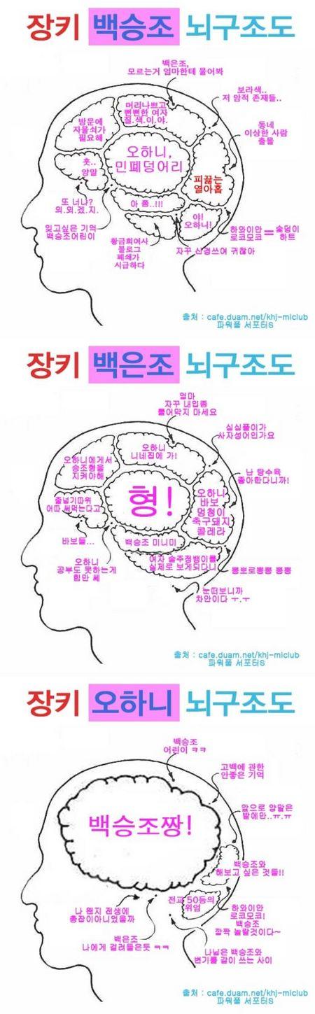 ‘쪼쪼 브라더스’ 뇌구조 공개…김현중 머릿속에는?