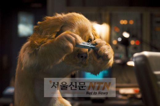 [추석영화大戰:외화③]‘캣츠앤독스2’, 개+고양이 3D 모험