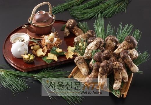 롯데호텔서울, ‘양양 자연송이 특선’ 행사