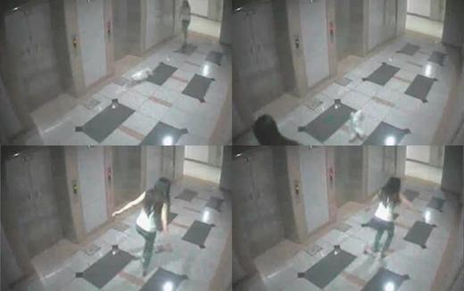 ‘고양이 은비 폭행녀’ 징역 4월 집행유예 2년 선고