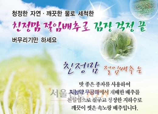 연기군, 절임배추 1년전 가격으로 선착순 한정 공급