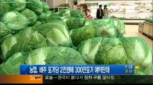 ‘배추값 폭등’ 농협, 포기당 2천원 배추 예약판매