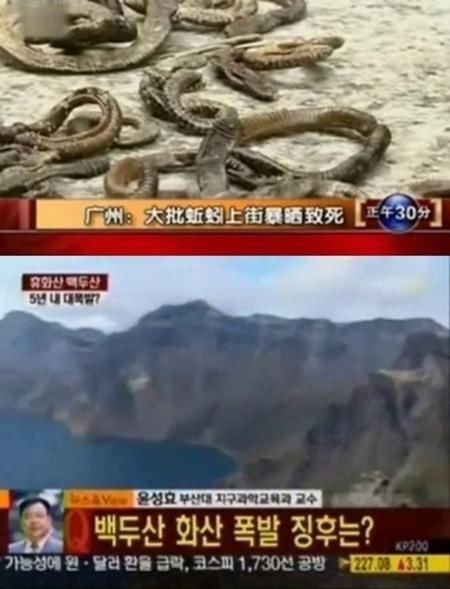 백두산 지진 발생전 뱀떼 출연…·화산폭발 대재앙 전조?