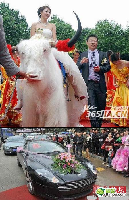 소타고 레드카펫…中재벌 결혼식 포착