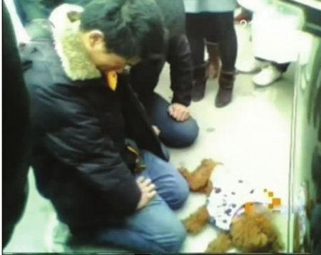 애완견 죽인 남자에게 무릎꿇게 한 주인 논란