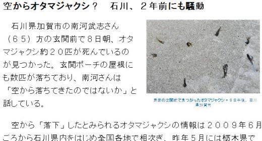 “마른하늘서 올챙이가”…일본서 또 괴현상 ‘충격’