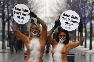 동물애호단체 ‘PETA’ 야한사이트 만든다