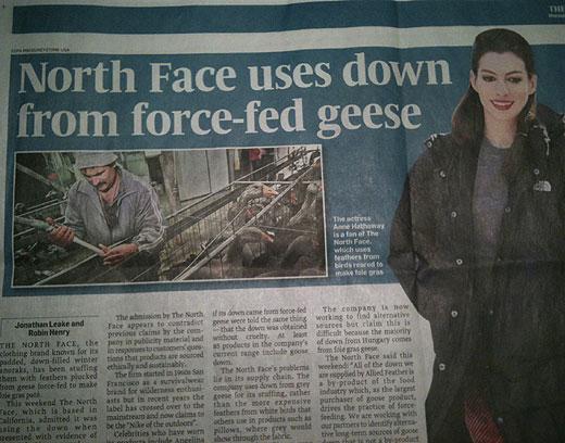 노스페이스, 잔인한 방식으로 키운 거위 털 사용 논란