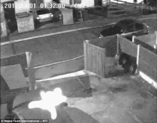 밝게 빛나는 ‘어린아이 유령’ CCTV 포착?