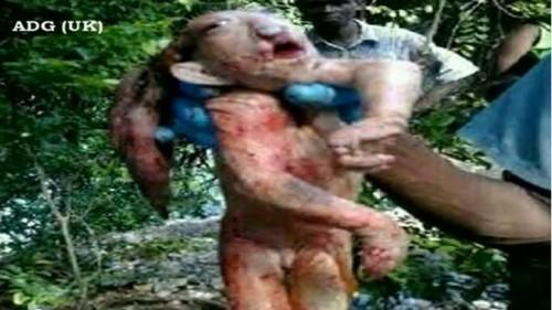고블린? 돌연변이?…아프리카서 괴생명체 발견