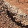 “화성에 물 있었다”…큐리오시티 증거 사진 전송