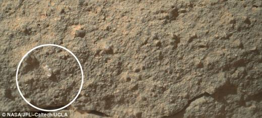 화성서 꽃 발견? NASA “탐사선 잔해는 분명 아니다”
