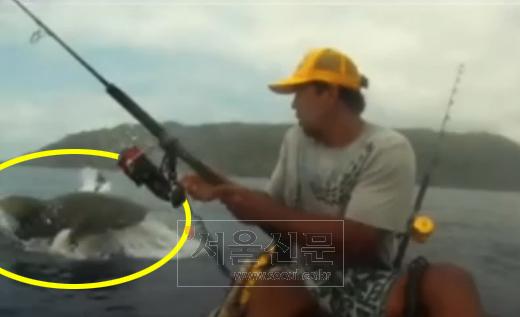 “내 낚시감 손대지마” 상어와 맞짱 뜬 남성