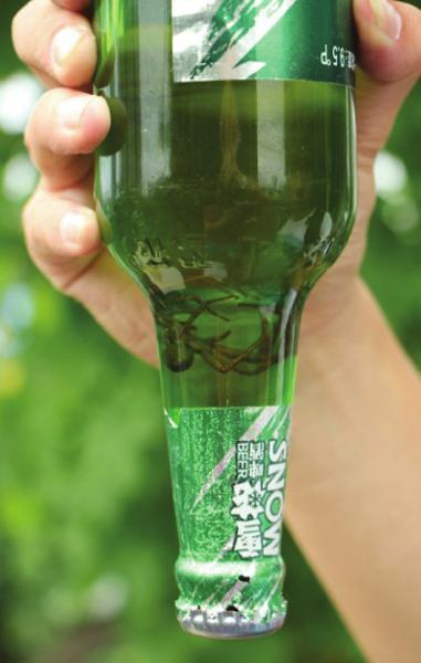 中맥주병 안에 거미가…제조사 묵묵부답
