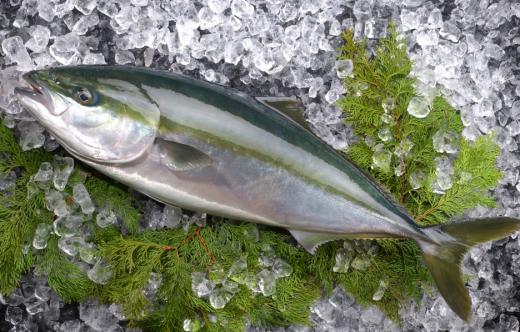 심리적 불안 완화시키는 ‘식품 5가지’ 모아보니