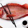 생선이 장수 비결? 오메가3 지방산, 관상동맥 석회화에 효과