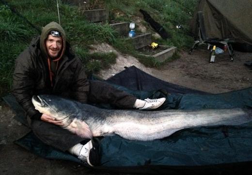 ‘길이 180㎝’ 사람보다 더 큰 30살 메기 잡혔다