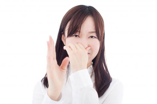우리가 모르고 있는 ‘후각, 냄새의 진실’