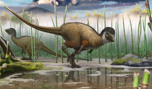 깃털 가진 1.5m 크기 ‘신종 공룡’ 발견 (사이언스紙)