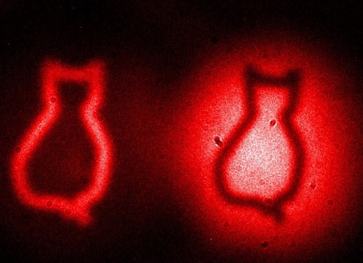 빛만으로 사진을 찍는다? ‘슈뢰딩거의 고양이’ 촬영 성공