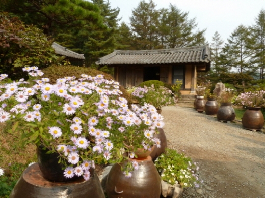 아침고요수목원, 추석맞이 풍성한 이벤트 실시…전시회도 열려