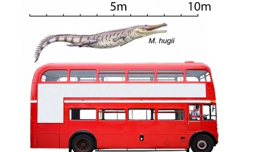 공룡 잡아먹는 이층버스 크기 ‘고대 악어’ 존재했다