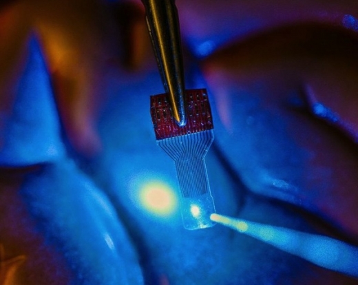 뇌에 삽입…두뇌 잠재성 깨우는 ‘투명 의료센서’ 개발