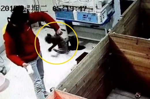 [와우! 중국] 때리고 던지고…中 새끼 호랑이 학대하는 영상 파문