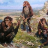 초기 인류 ‘320만 년’ 전부터 도구 사용