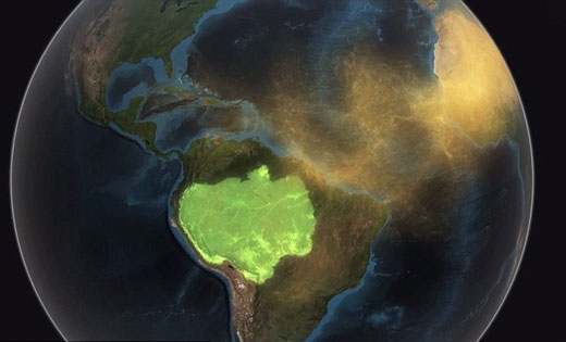 [와우! 과학] 사하라 사막이 바다 건너 아마존숲 살린다