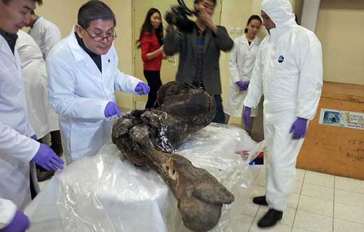 [포토] 황우석 박사, 러 연구팀과 ‘매머드 복제’ 나선다