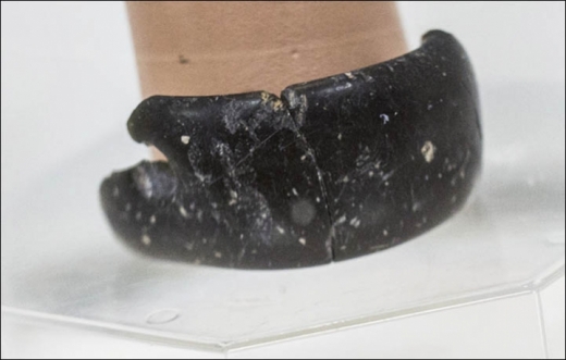 4만년 전 ‘세계서 가장 오래된 팔찌’ 공개