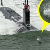 [포토] 美핵잠수함 이끄는 위풍당당 돌고래 포착