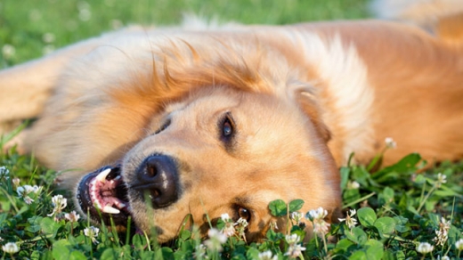 ‘행복 연구가’가 말하는 행복해지기 위한 비결은?