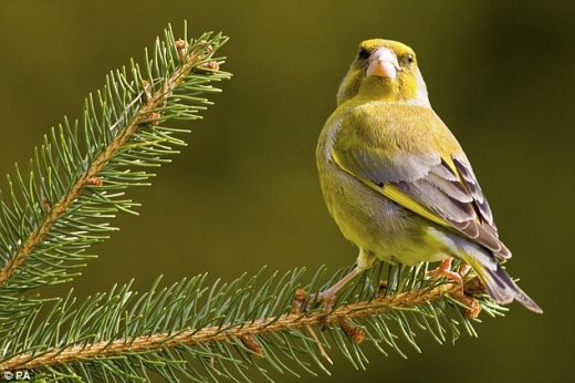 ‘저 새 이름? 바로 알 수 있지’