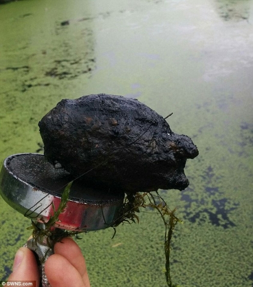 8세 소년이 낚시하다 ‘수류탄’ 낚아...2차대전 불발탄 아찔